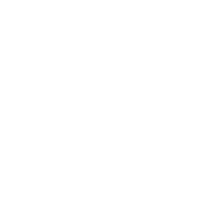 LS-dragonboat-white-logo