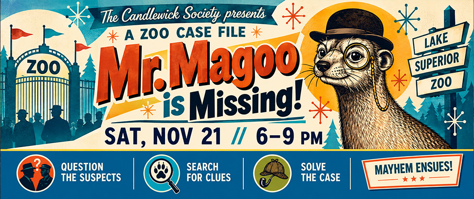 Mr. Magoo is MISSING | Mystery Game